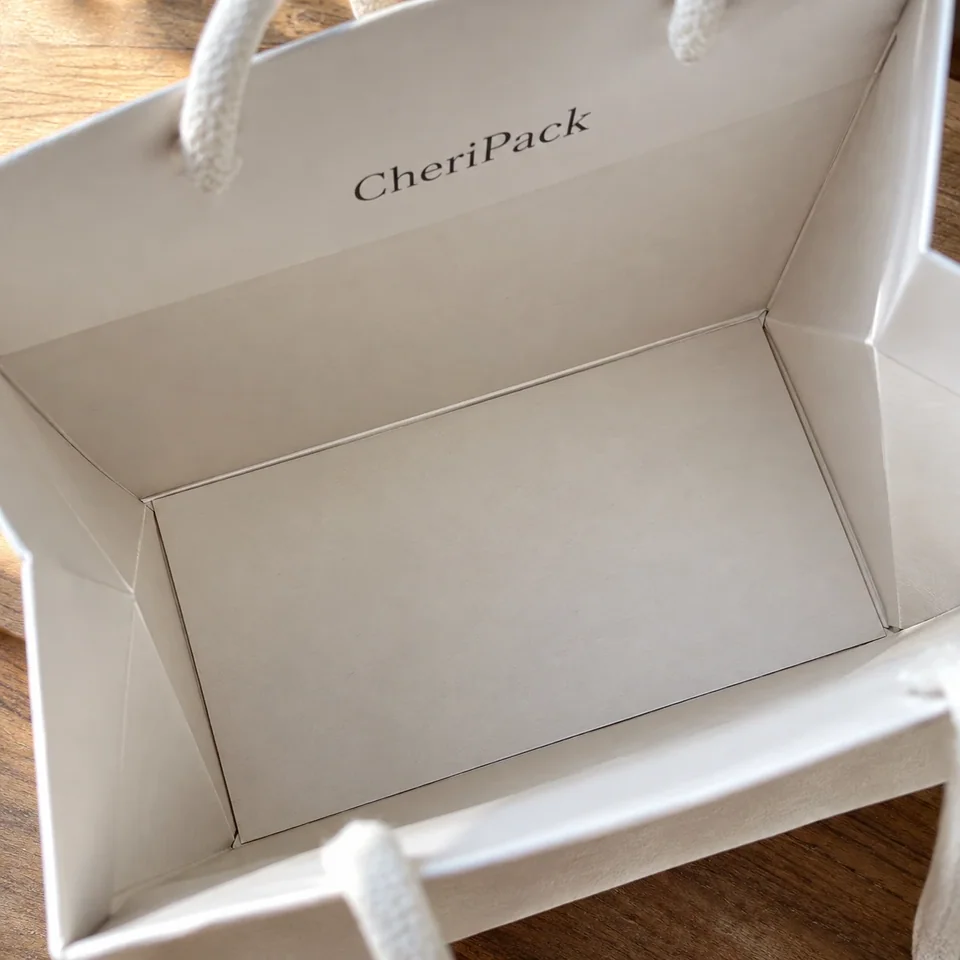 Paper Bag Fit & Carry Checklist — design concept